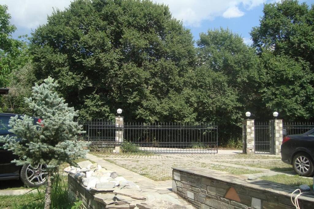 Ileana'S House Apartment Volos Exterior photo