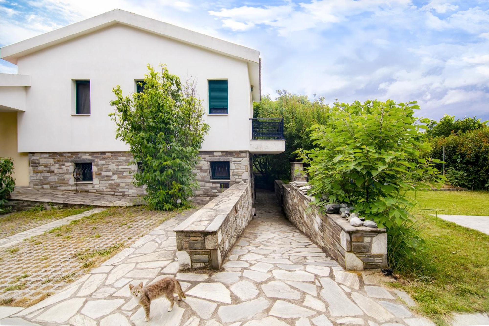 Ileana'S House Apartment Volos Exterior photo